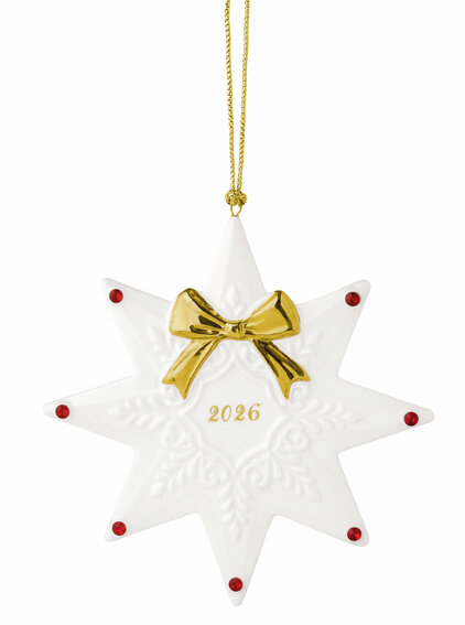Ornament Stern 2026