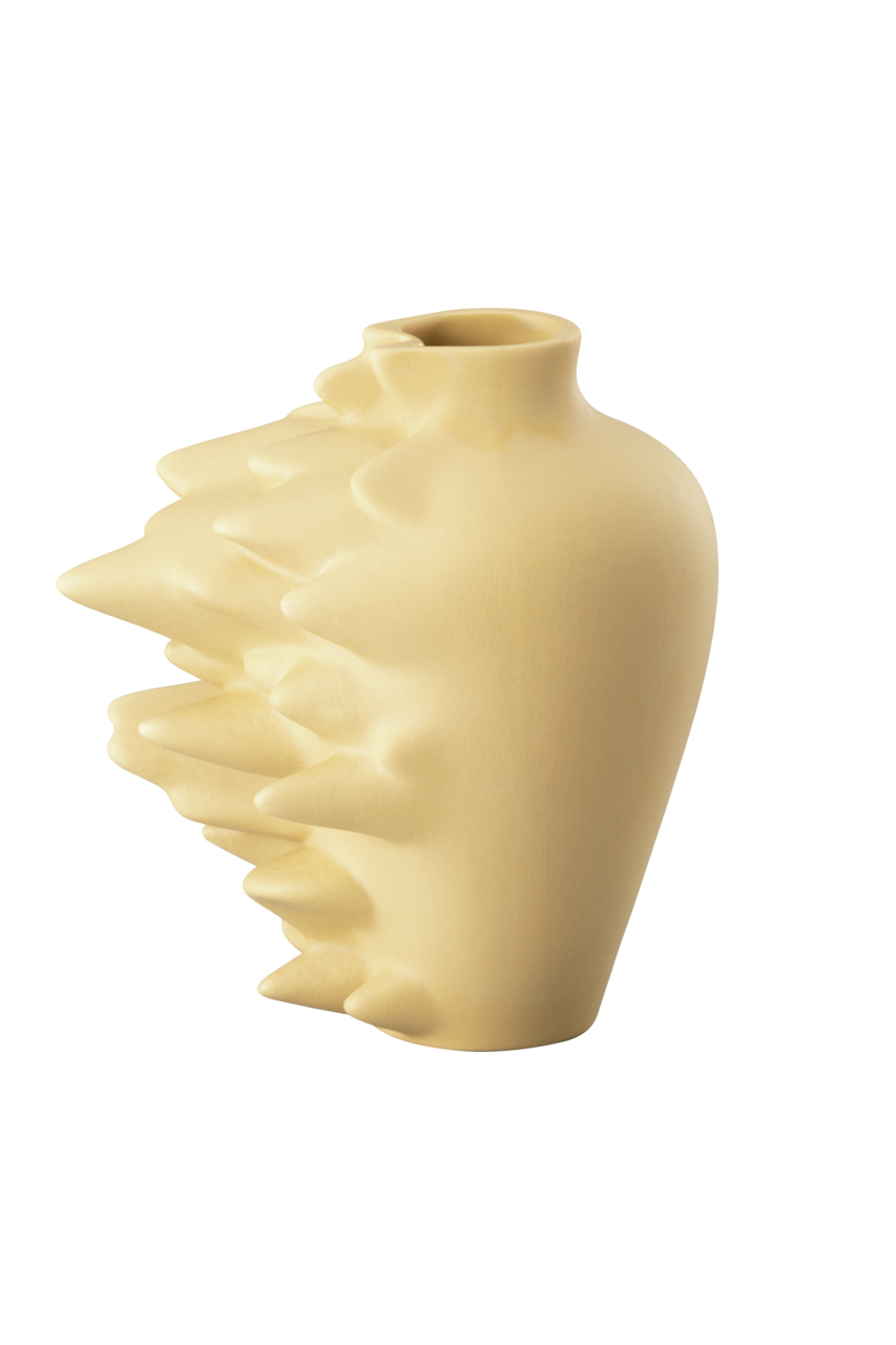 Vase Fast Fossil Vase Fast Fossil