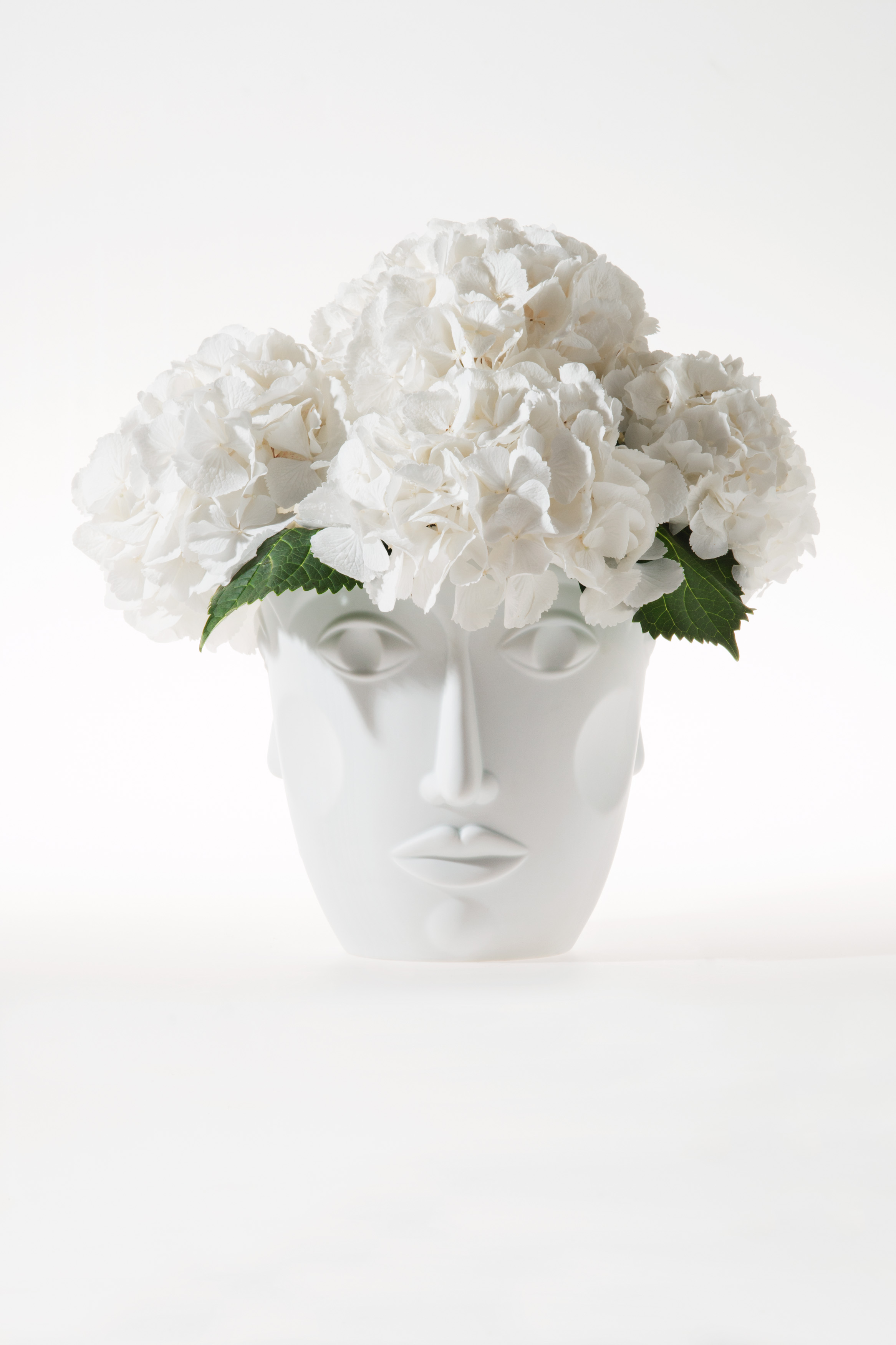 FACES_Satin_White_Still_03