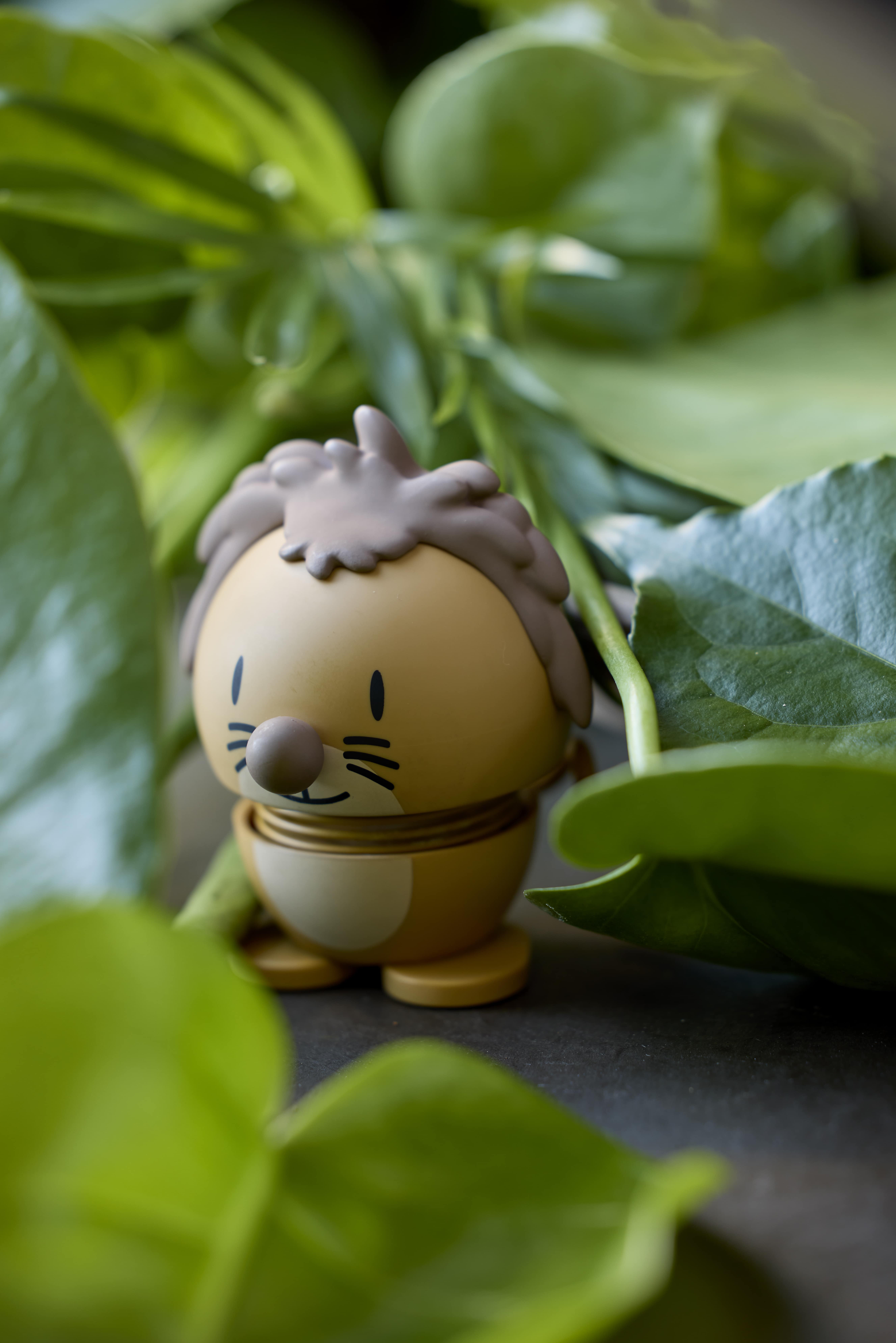 Soft Lion Soft Lion
