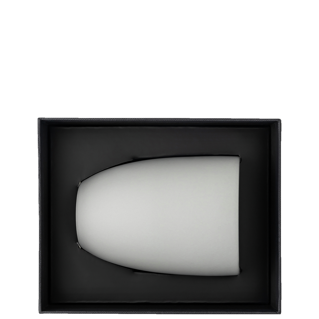 69203-321650-15598_5_v_w