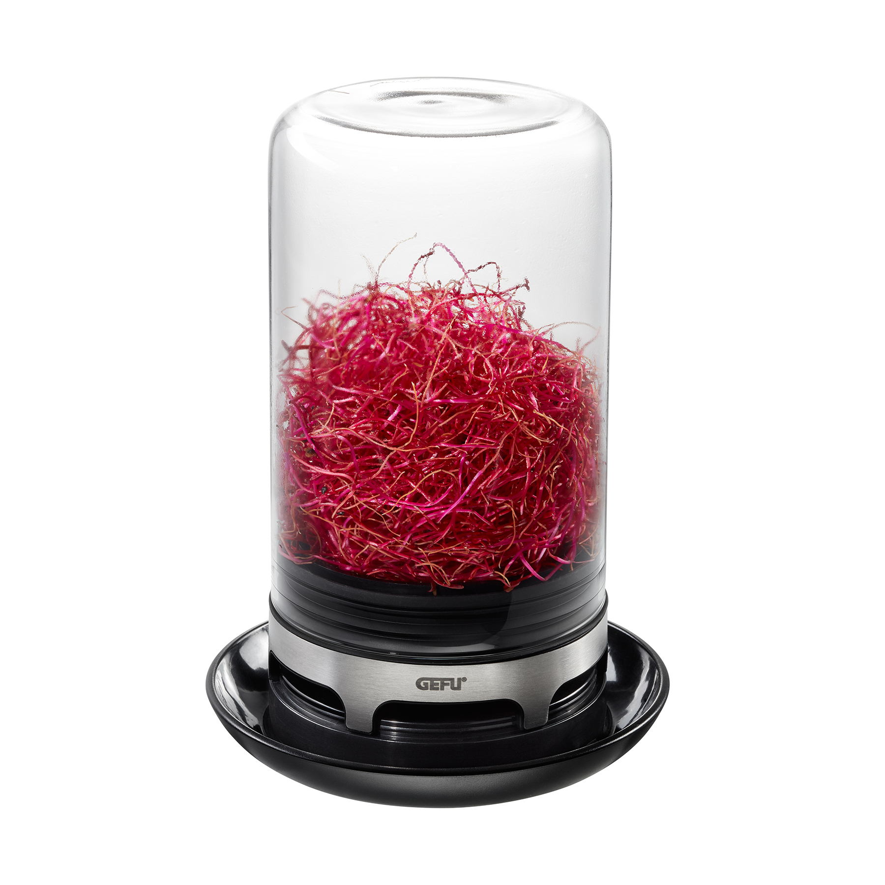 18910-GEFU-Sprossenglas-BIVITA-001