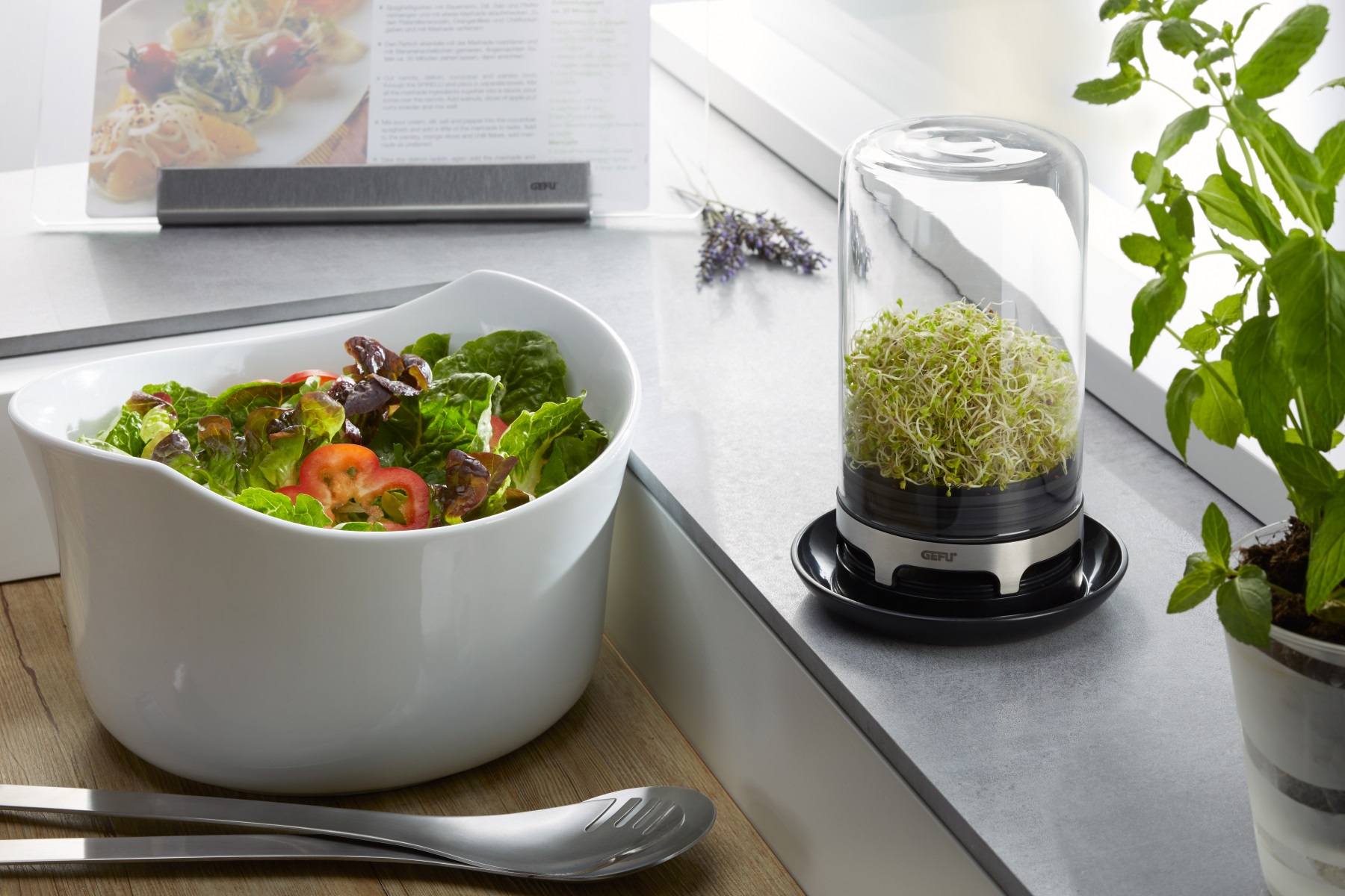 18910-GEFU-Sprossenglas-BIVITA-003